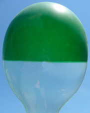 Proti obloze