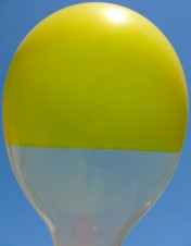 Proti obloze