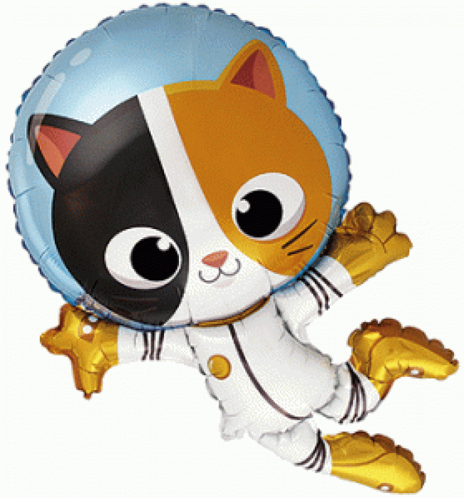 Kočka Astronaut